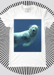 Футболка мужская белая Polar Bear YAPPI Изображение Футболка мужская белая Polar Bear YAPPI