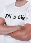 Футболка мужская белая Till I Die Seven Mountains Изображение Футболка мужская белая Till I Die Seven Mountains