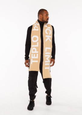 Шарф мужской с принтом TEPLO бежевый Изображение Шарф мужской с принтом TEPLO бежевый