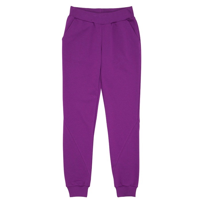 Фиолетовый брюки
